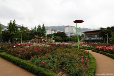 정관 윗골공원에서 만난 장미정원