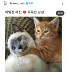 어울림