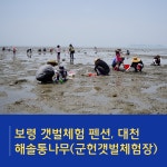 보령 갯벌체험(대천 펜션 수영장.가족.단체)해솔통나무 펜션