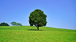 올림픽공원 장미광장 & 들꽃마루 서울 자전거 코스 추천