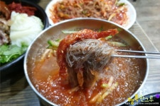 일산 벨라시타 맛집 고양터미널 족발집 속초면옥