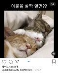 삼냥