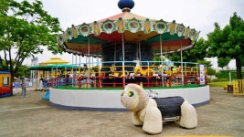 춘천 여행 육림랜드 동물원,수영장, 놀이시설 테마파크