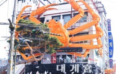 바다보면서 영덕 대게 맛집