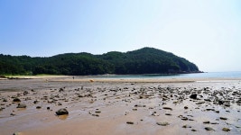 백리포 해수욕장 펜션 씨앤스타-바다뷰-낚시펜션(천리포 해수욕장)