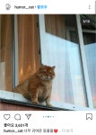 어서오시게