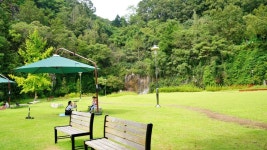 경북 당일치기 안동 여행코스(안동찜닭골목.신세동벽화마을.월영교.묵계서원.만휴정 카페)