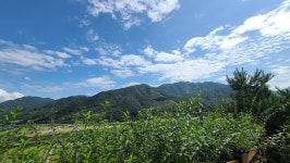 황전휴게소 노고단 전망대 지리산이 한눈에~ 전망좋은 곳