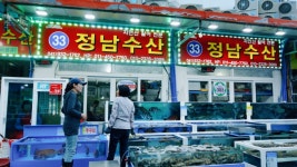 대천항 수산시장 횟집 전국택배 당일배송(설날 선물/설 연휴 정상영업)-정남수산