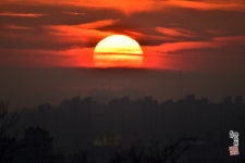 언제나 봄은 희망의 향기여라!