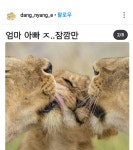 사랑가득