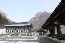 전남 장성 백양사