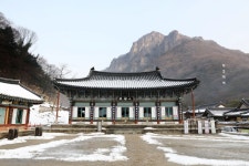 전남 장성 백양사