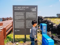 제주 서쪽월령리 선인장마을 걷기 너무~ 좋아요
