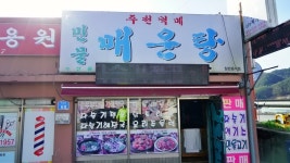 강원도 영월 캠핑장 추천 법흥 계곡 카라반, 글램핑 온수풀까지