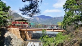 제천 여행 의림지 봄나들이 한국관광100선