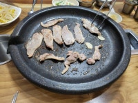 대전 유천동 맛집 배부른생오리에서 유황생오리 즐기기