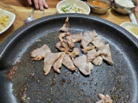 대전 유천동 맛집 배부른생오리에서 유황생오리 즐기기