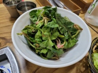 대전 유천동 맛집 배부른생오리에서 유황생오리 즐기기
