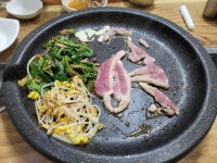 대전 유천동 맛집 배부른생오리에서 유황생오리 즐기기