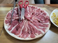 대전 유천동 맛집 배부른생오리에서 유황생오리 즐기기