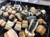 강화도 장어 맛집, 몽돌장어... 갯벌장어 진심JMT