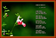 신비롭고 참 아름다운 꽃!