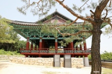 경주 금장대와 암각화, 경주 가볼만한곳