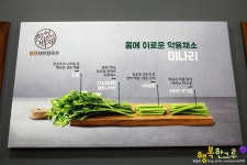 흡족스런 화정맛집 찾았스 - 화정역 지역 추천맛집 한성백제얼큰샤브칼국수 후기