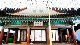 서울 가볼만한곳 한국관광100선 봉은사 연꽃축제 꽃구경 야경 명소