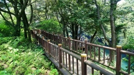 제주도 서귀포 가볼만한곳 제주 쇠소깍 카약.테우, 올레길 6코스 환상자전거길 인증센터