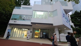 서울 여행 잠실 가볼만한곳 석촌호수 데이트 삼전도비와 호수 갤러리 카페와 놀거리
