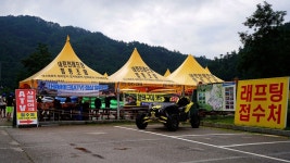 가을에 가볼만한곳 인제 자작나무숲 원대리(속삭이는 자작나무숲) 국내1박2일여행