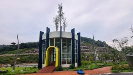 가을에 가볼만한곳 인제 자작나무숲 원대리(속삭이는 자작나무숲) 국내1박2일여행