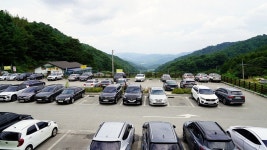 가을에 가볼만한곳 인제 자작나무숲 원대리(속삭이는 자작나무숲) 국내1박2일여행