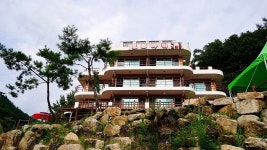 가을에 가볼만한곳 인제 자작나무숲 원대리(속삭이는 자작나무숲) 국내1박2일여행