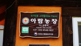 충남 가볼만한곳 예산 아이들과 농촌체험농장, 예당호 출렁다리 음악분수