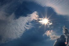 ♧ 완연한 가을빛 행진! ♧