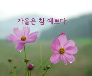 가을 참예쁘다♡