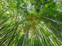 제주공항 근처 가볼만한곳 BEST 8