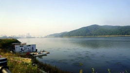 경기도 꽃구경 용인 가볼만한곳 기흥 호수공원(신갈 저수지)물빛정원 코스모스 명소