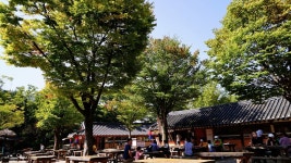 경기도 여행지 추천 서울근교 용인 한국민속촌 놀거리 볼거리 할인.주차