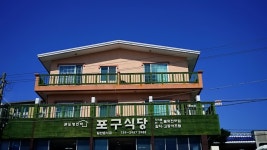11월 제주도 가볼만한곳 제주 한달살이 서귀포 카페 숙소.법환포구 식당. 소품샵 외