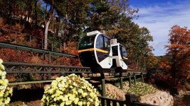 보은 가볼만한곳 속리산 모노레일.집라인. 솔향공원 스카이바이크,숲체험휴양마을 한국관광공사 명사와의 만남