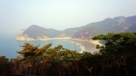 서해안 가볼만한곳 대청도 여행, 농여해변 나이테나무.서풍받이 트레킹 코스.모래사막.국내섬여행