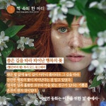 [오늘의 좋은글] 좁은 길을 따라 피어난 행복의 꽃