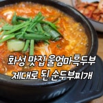 화성 월문온천 맛집 울엄마흑두부 순두부찌개