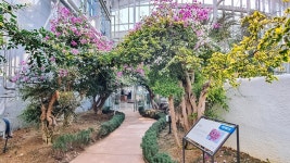 세종 가볼만한곳-