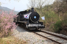 전남 여행 곡성 가볼만한곳 섬진강 기차마을. 레일바이크. 세계장미축제.장미공원