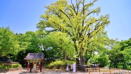 여주 가볼만한곳 신륵사 관광명소 경기도 경기둘레길